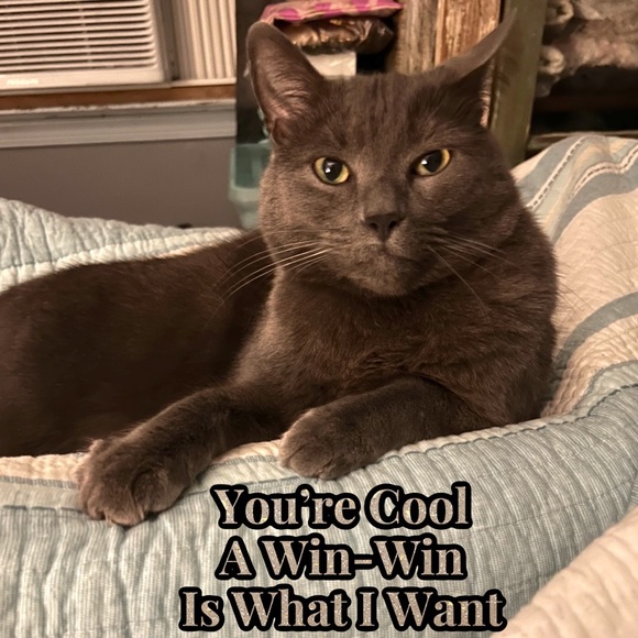 Please Share Kylo Wants To Send You His Best Offer - Picture 2 of 4